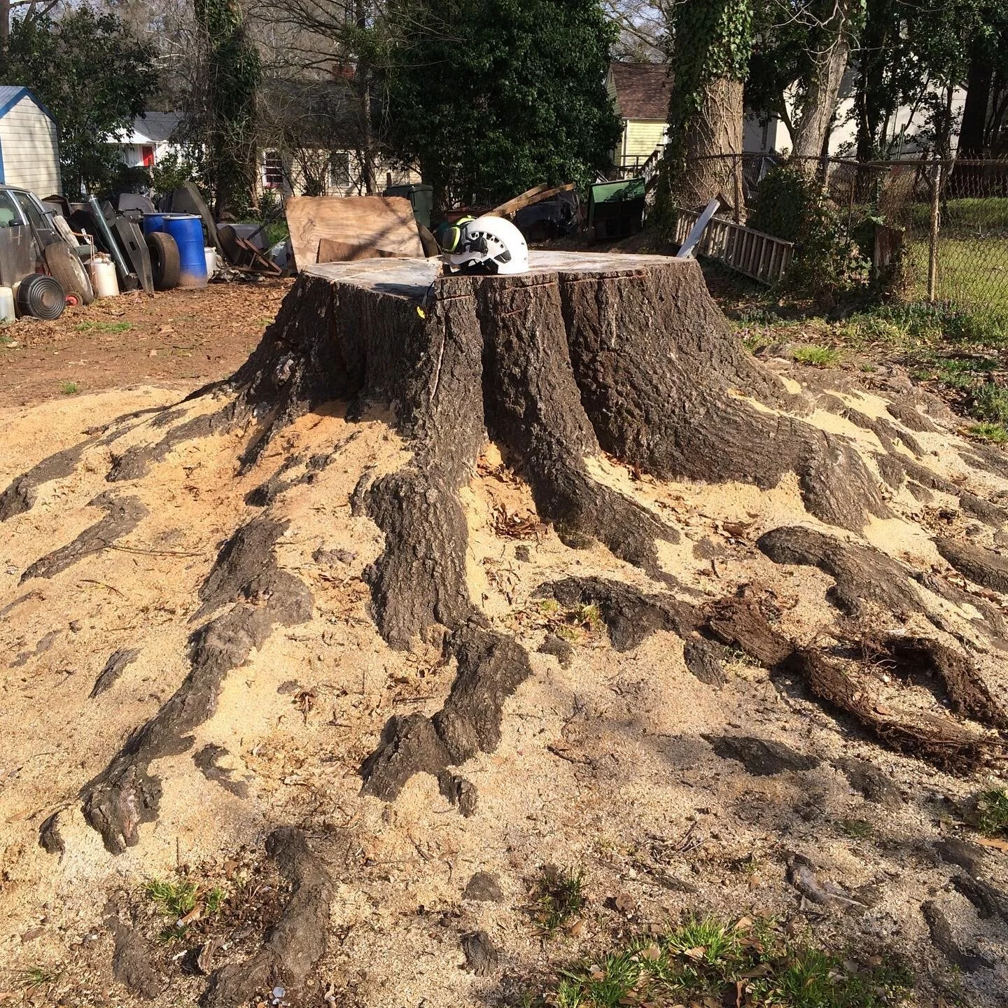 How Much Should You Pay For Stump Grinding?
