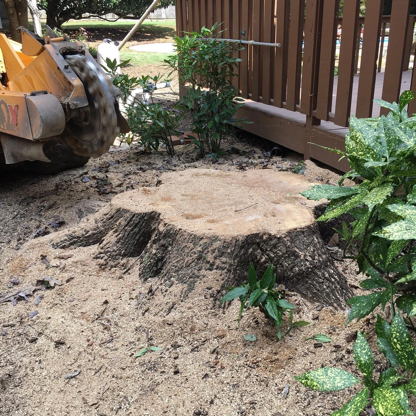 Can You Grind A Stump Yourself?