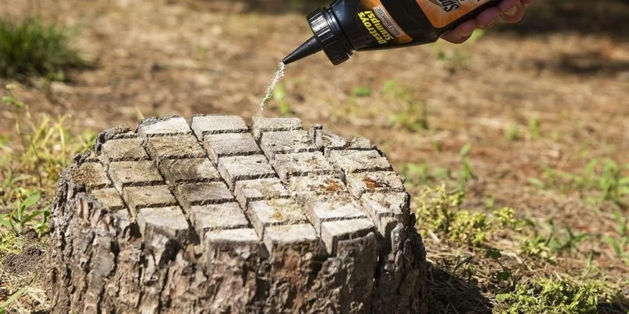 What is the fastest way to remove a tree stump?