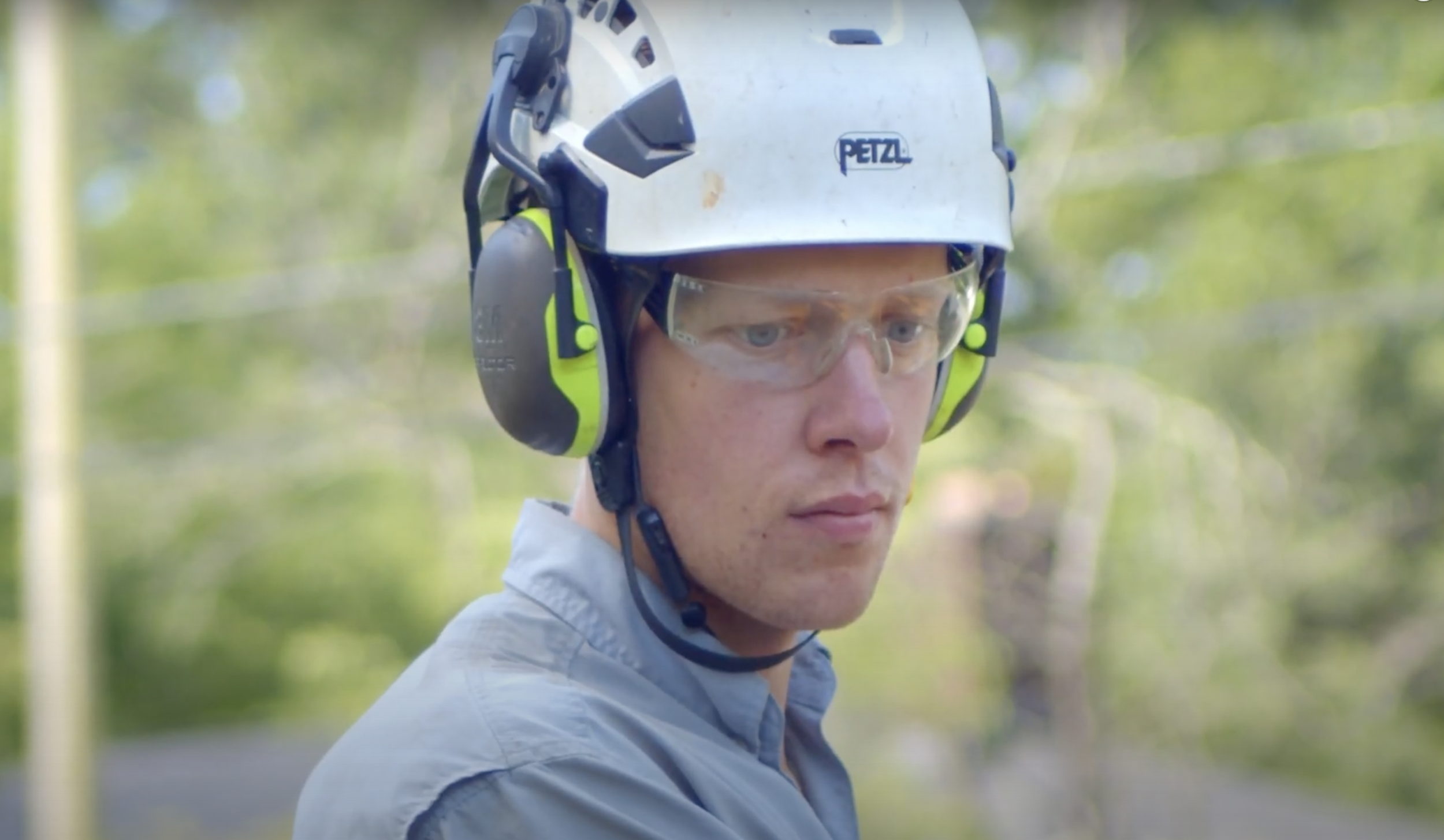 What should you look for when hiring a stump grinder?