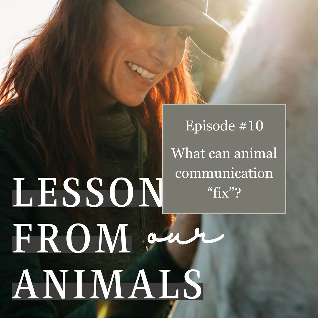 I am loving putting this podcast out there and I hope you are all enjoying it as well! 

In this episode I go into all the things animal communication can fix or not fix. 

Spoiler alert it is everything and nothing. :) 

Listen in to hear more thoug