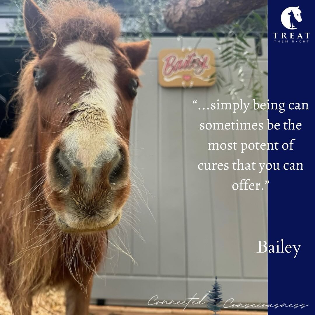 Listen up humans - Bailey has something important to share with us!

&ldquo;I think it is nice for people to know that just being and sitting with an animal is an act of kindness all on its own. You don&rsquo;t always have to be doing or creating or 