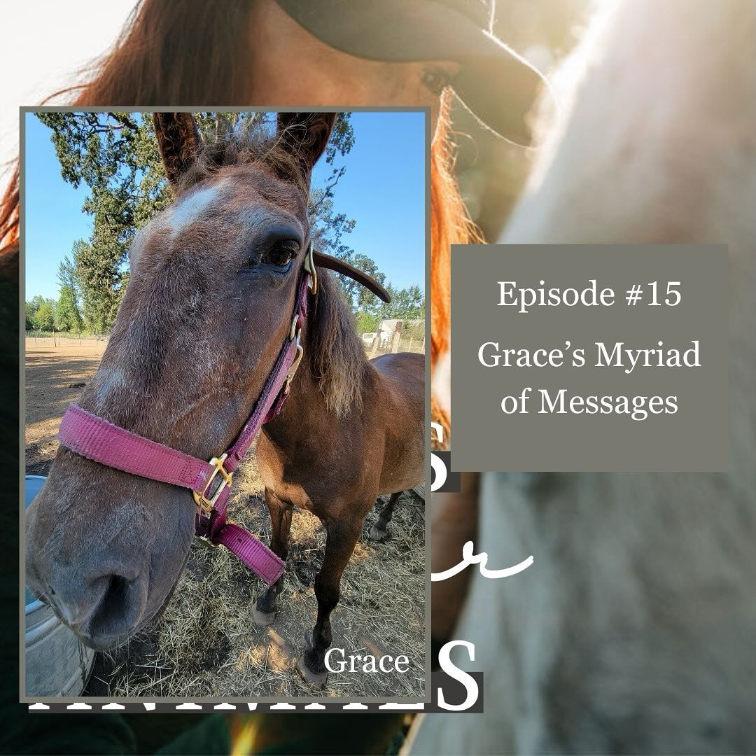 I have such a treat for you today! 

I am sharing multiple messages from the same animal for this episode. 

Grace, is a wise matriarch that I have had the privilege and honor of communicating with over the past 1.5 years or so. We have had many sess