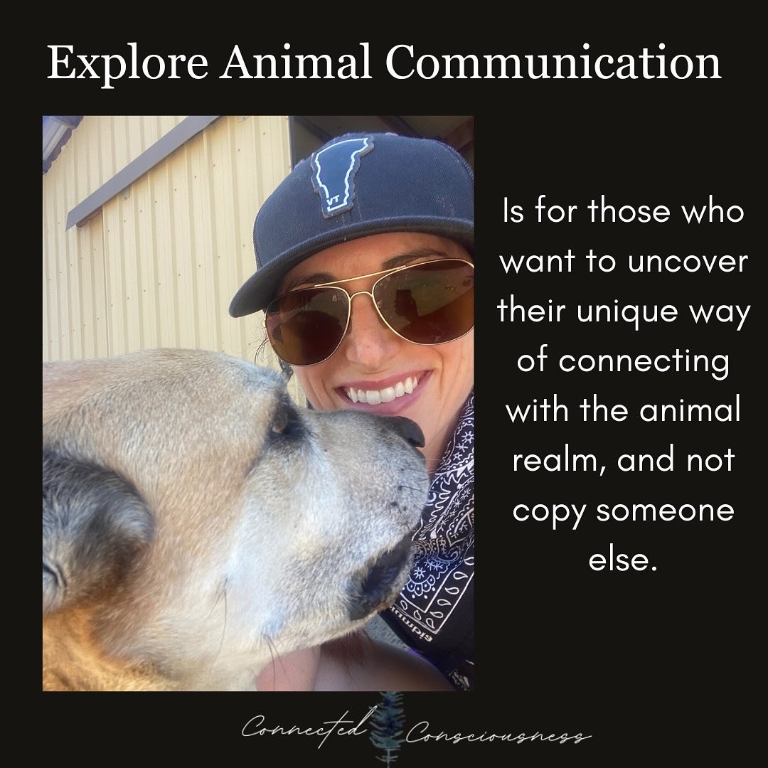 I am so excited to be hosting a chat on animal communication! 

I am going to share about my journey to animal communication, what I perceive animal communication to be, the different ways in which animal communication could occur and answer any of y