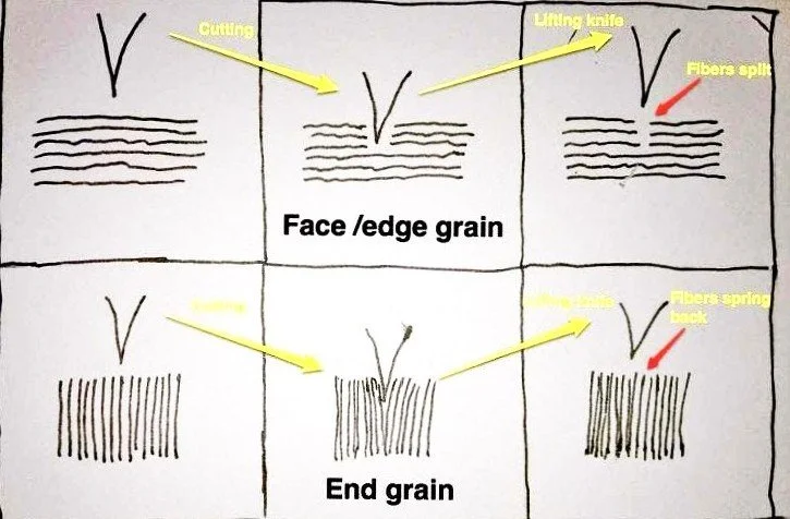 End grain; Edge grain; Face grain