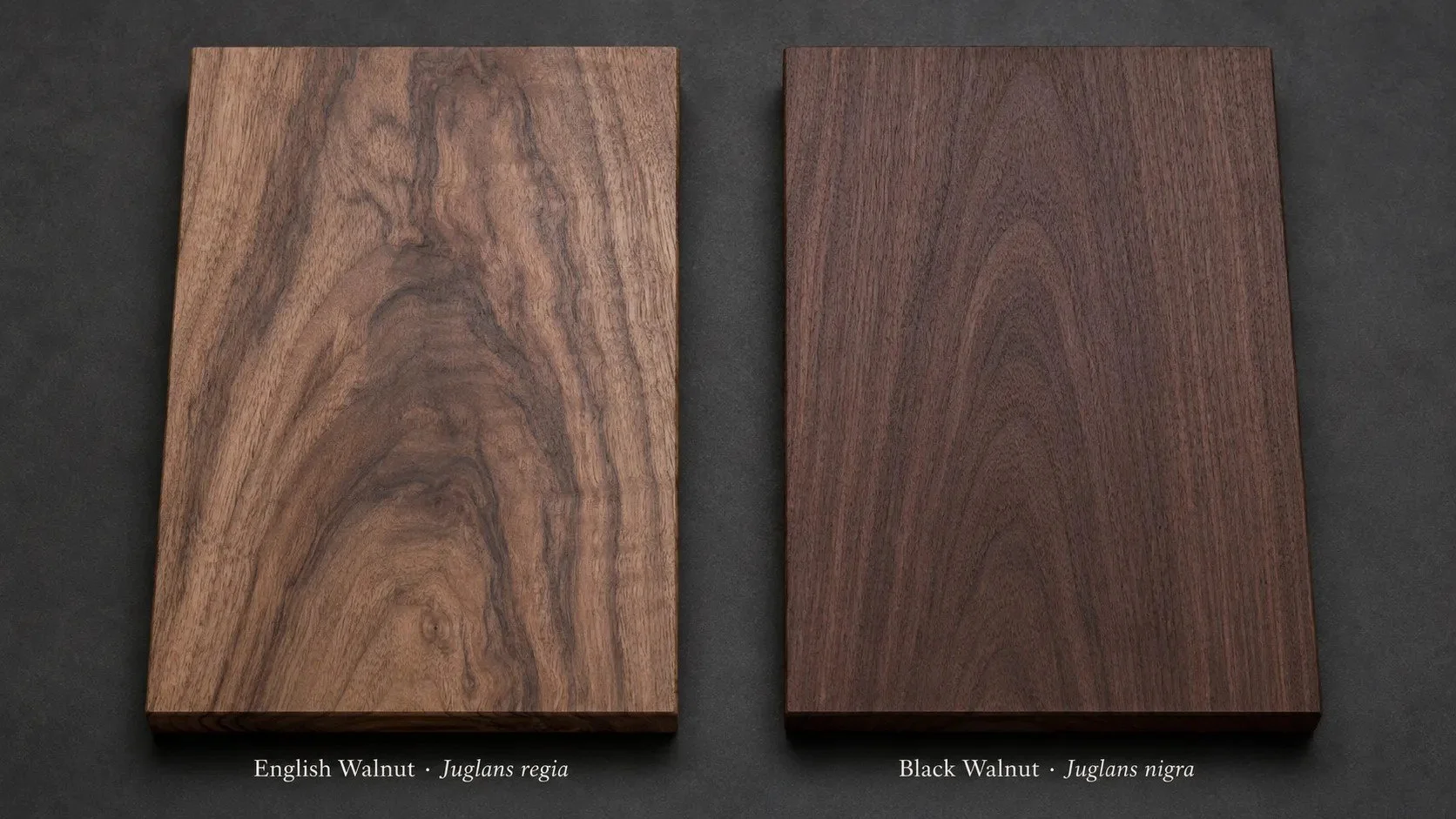 European Walnut vs American Black Walnut