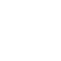 ValuesIcons-02.png