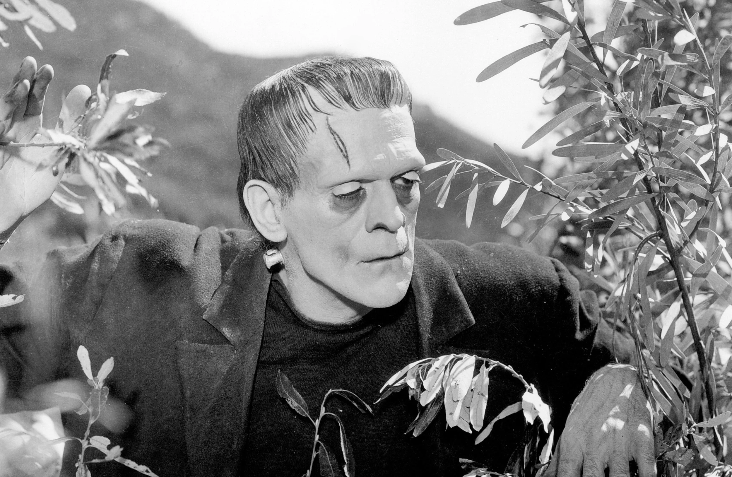 Frank 1931.jpg