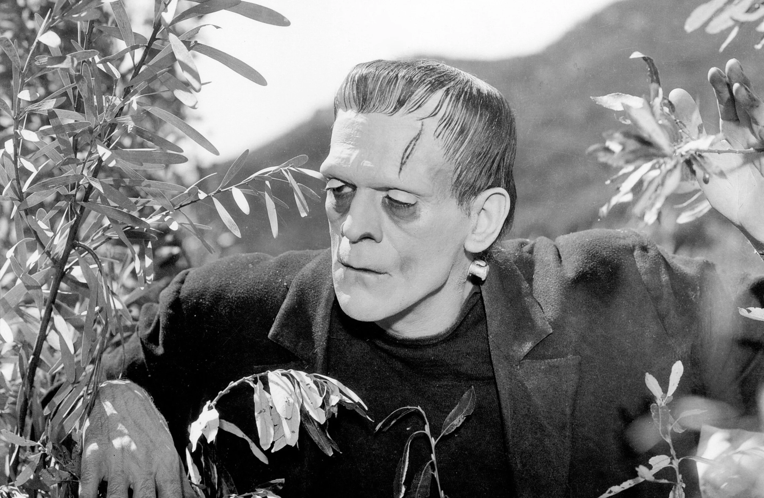 Frank 1931 horizontal.jpg