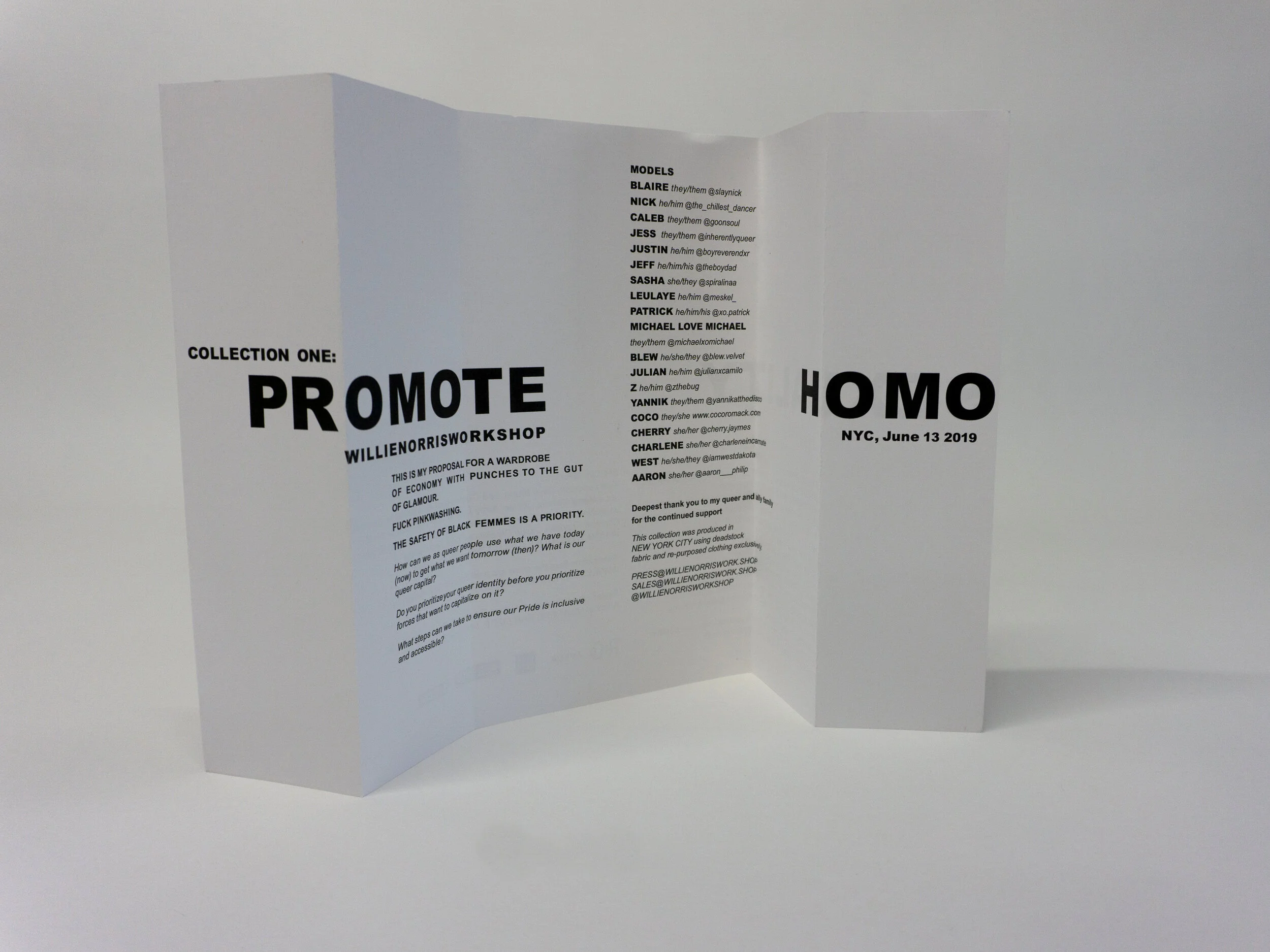 promohomo-2.jpg