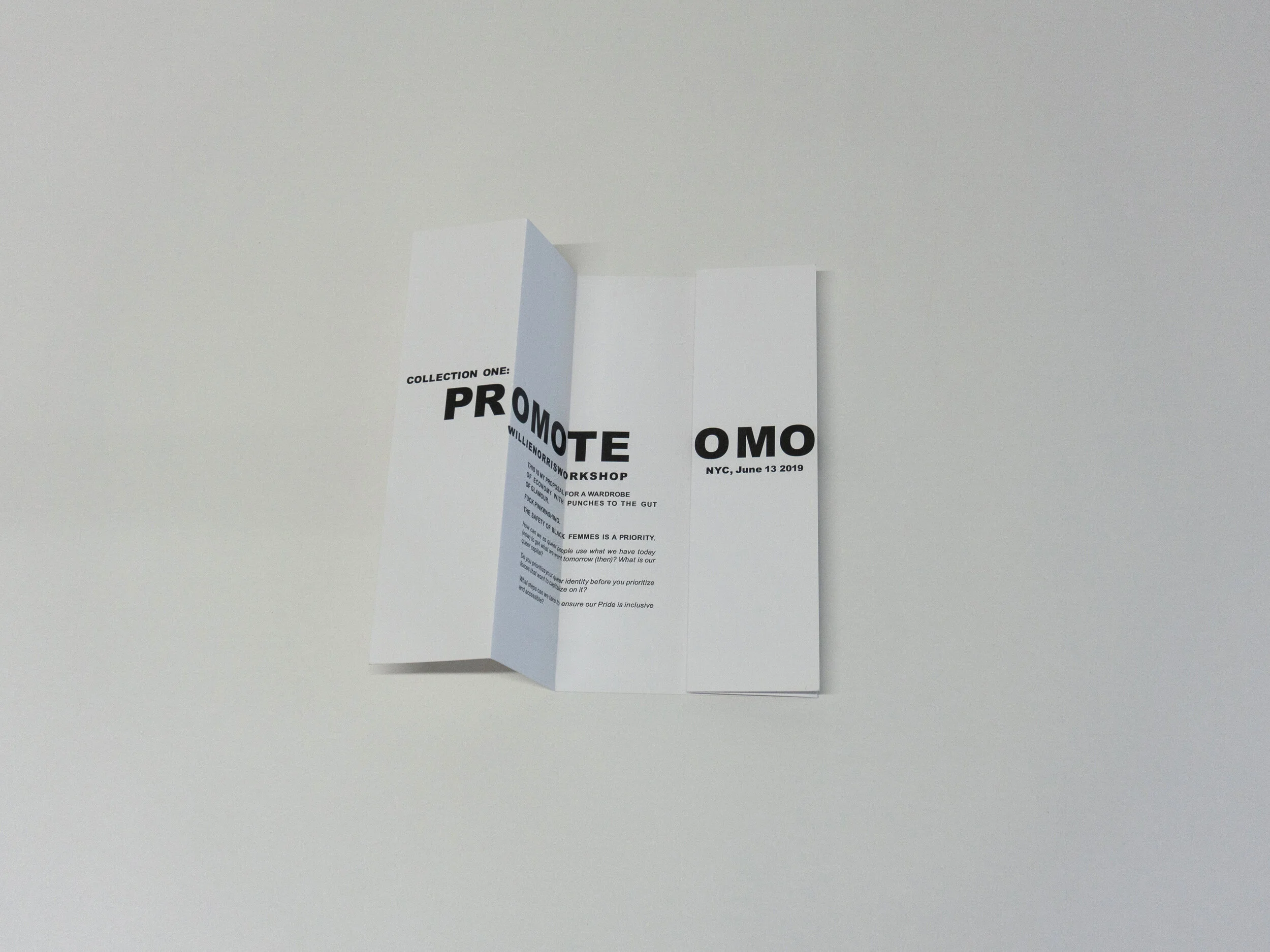 promohomo-3.jpg