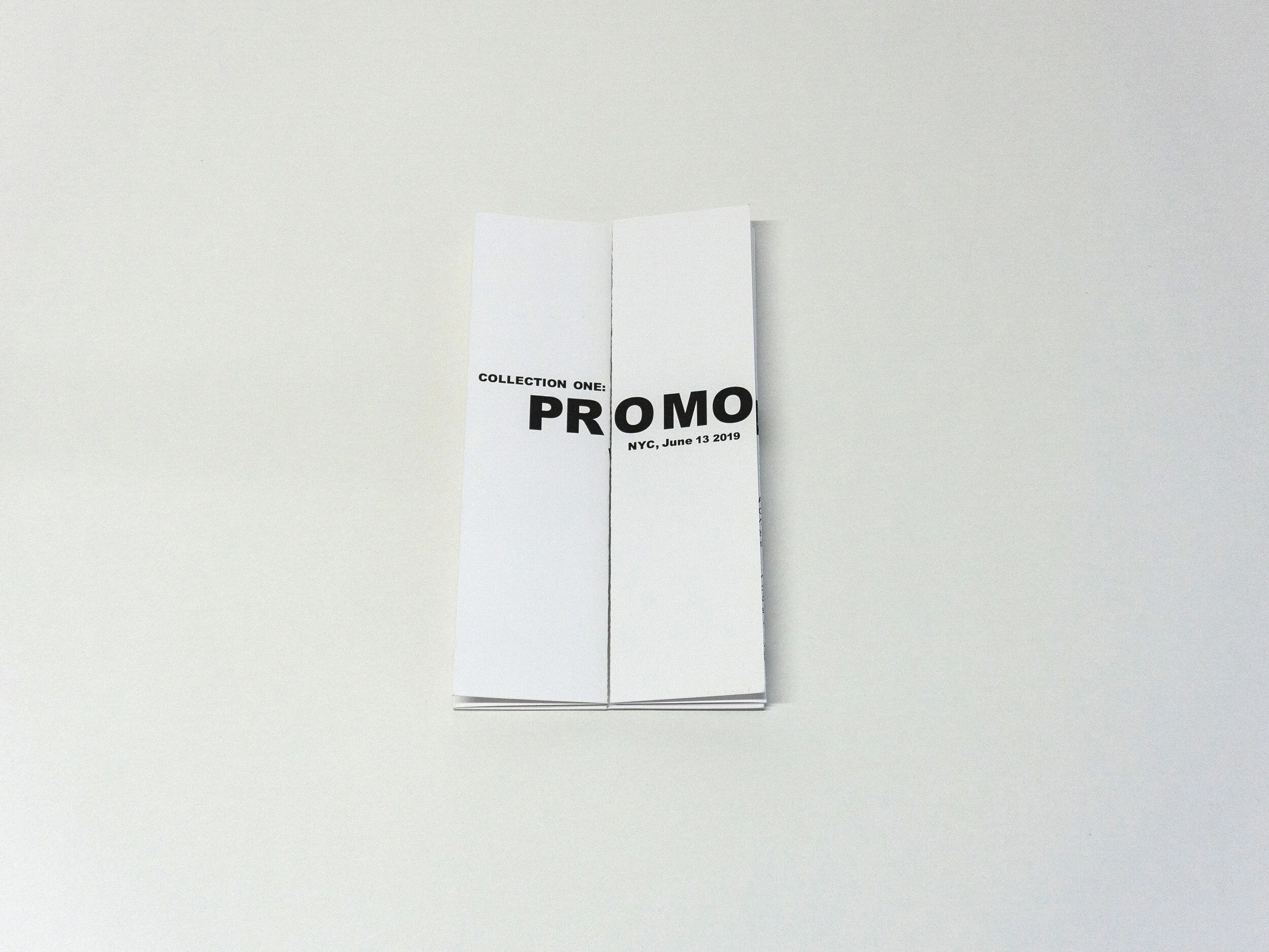 promohomo-5.jpg