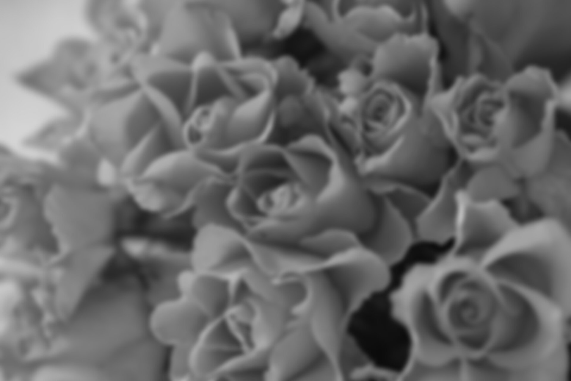Roses-bunch-mono.jpg