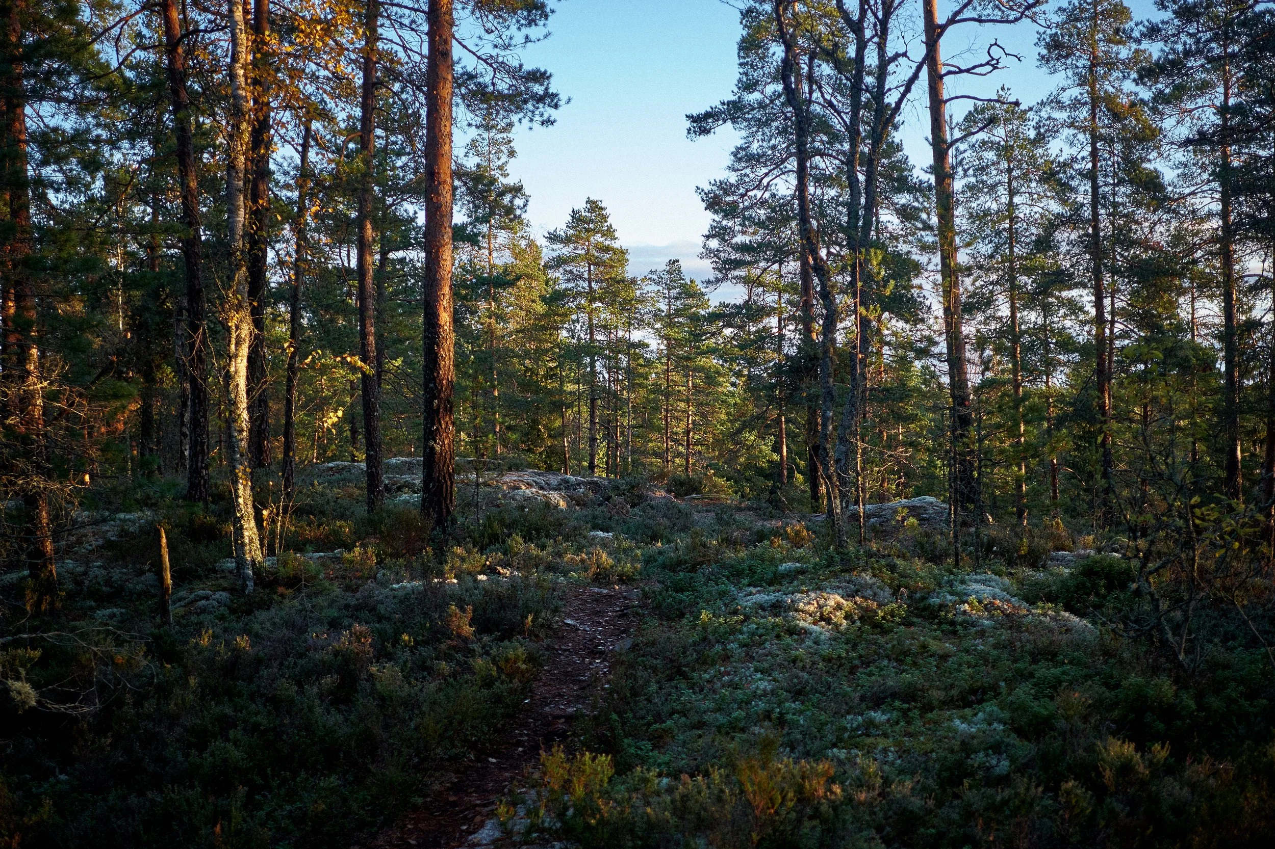 Nuuksio-Iso Majaslampi-025.jpg