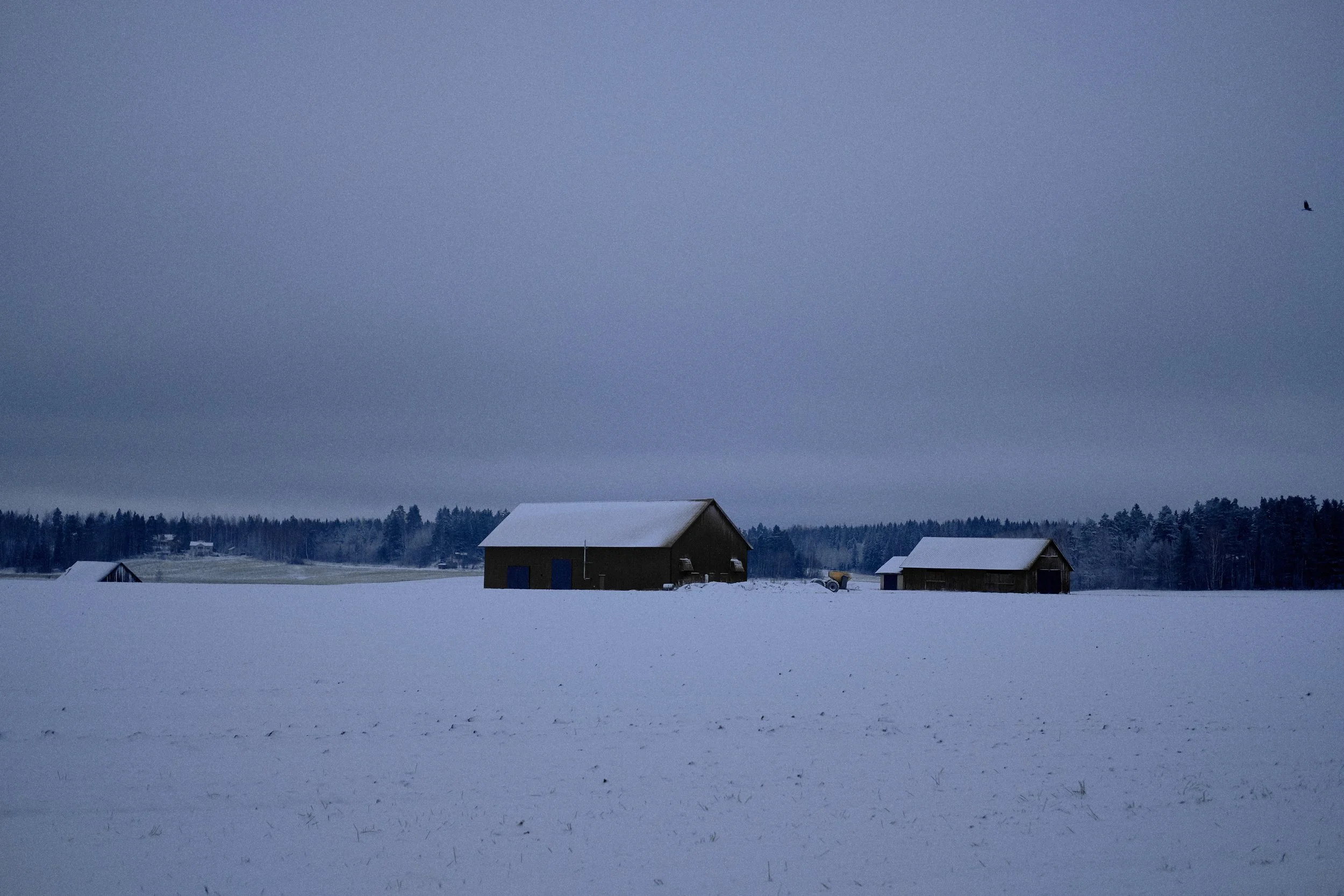 Winter biking - 29122020  - 034.jpg