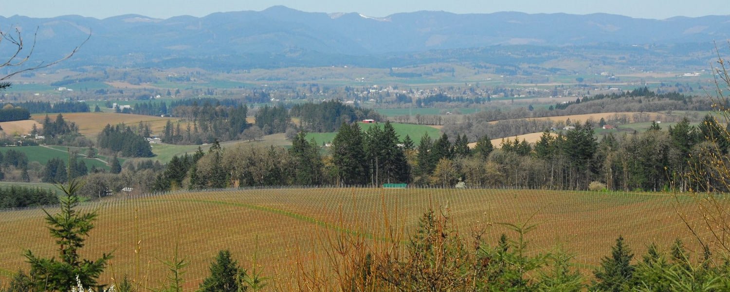 willamette_valley_03.jpg