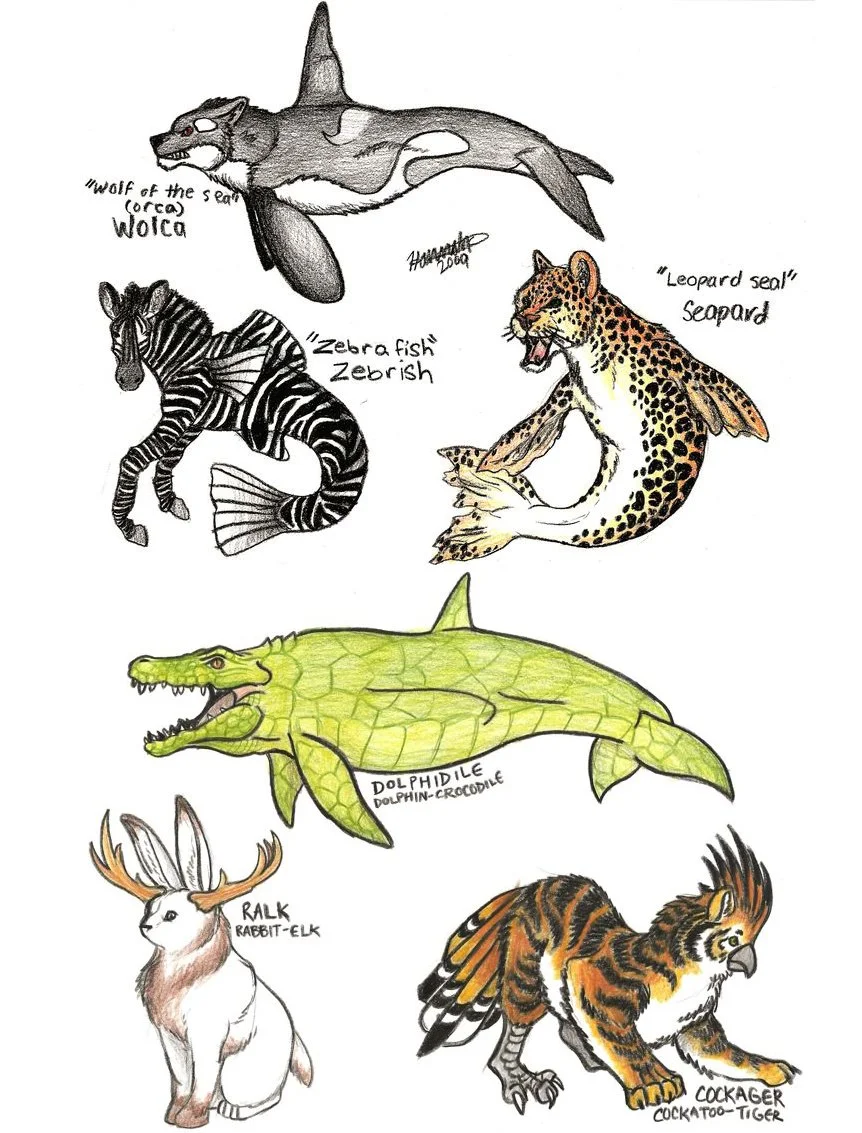 🐾 Drawing Animals: A 3-Week Exploration for Young Artists