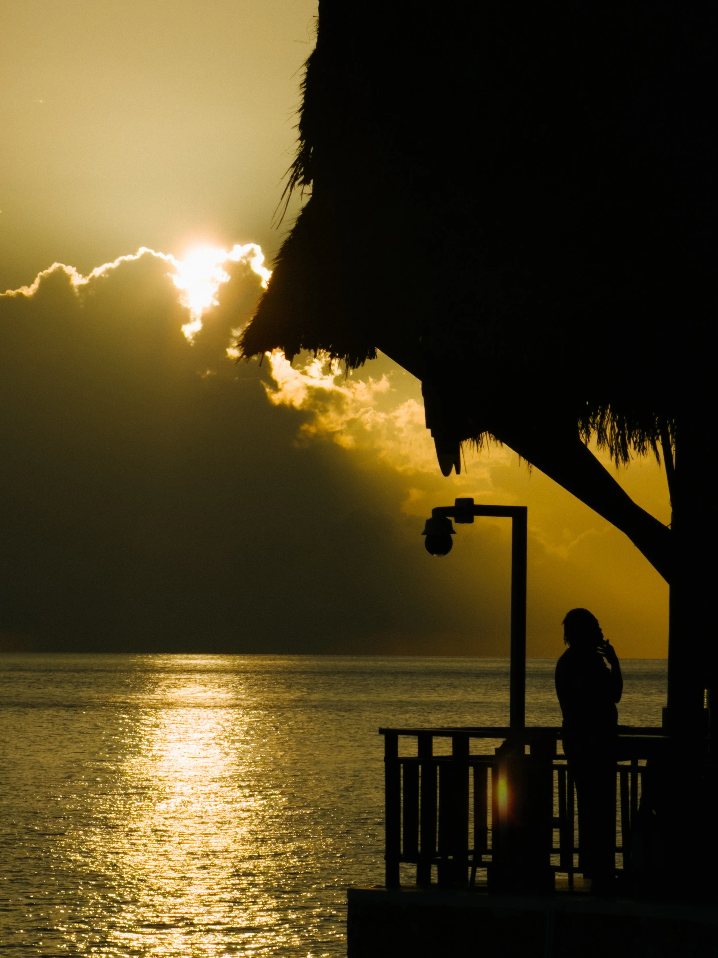 IMG_4432.jpg