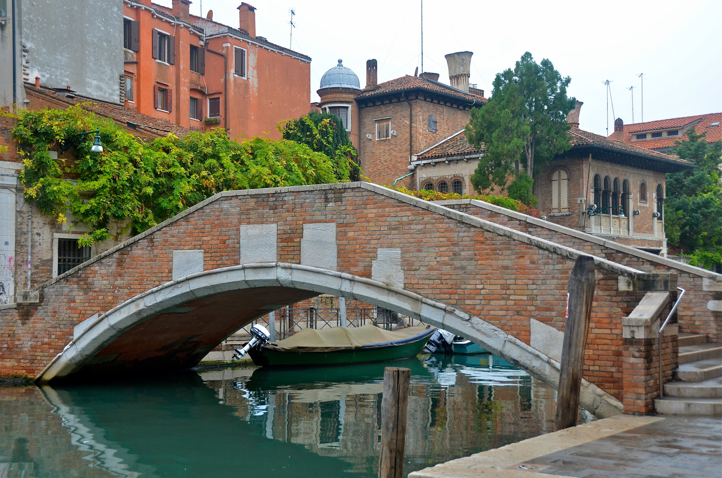DSC_4716.JPG