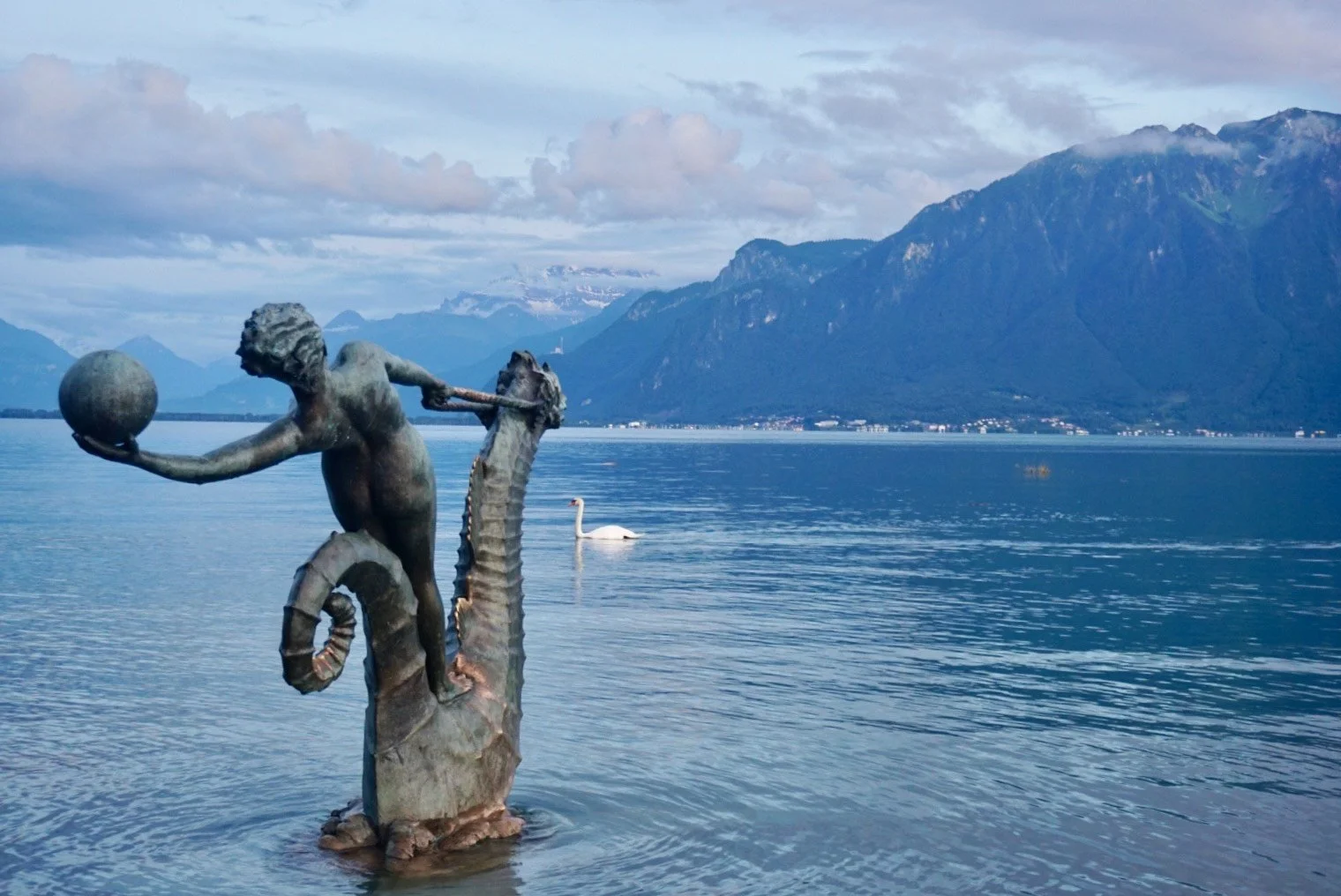 image_123650291 (5).JPG