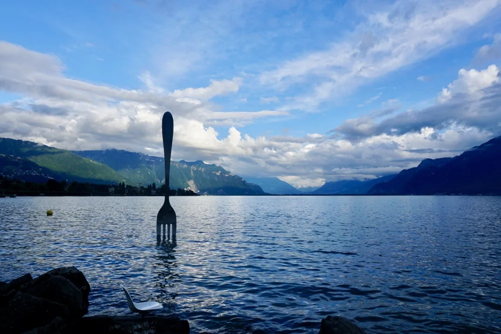 image_123650291 (12).JPG