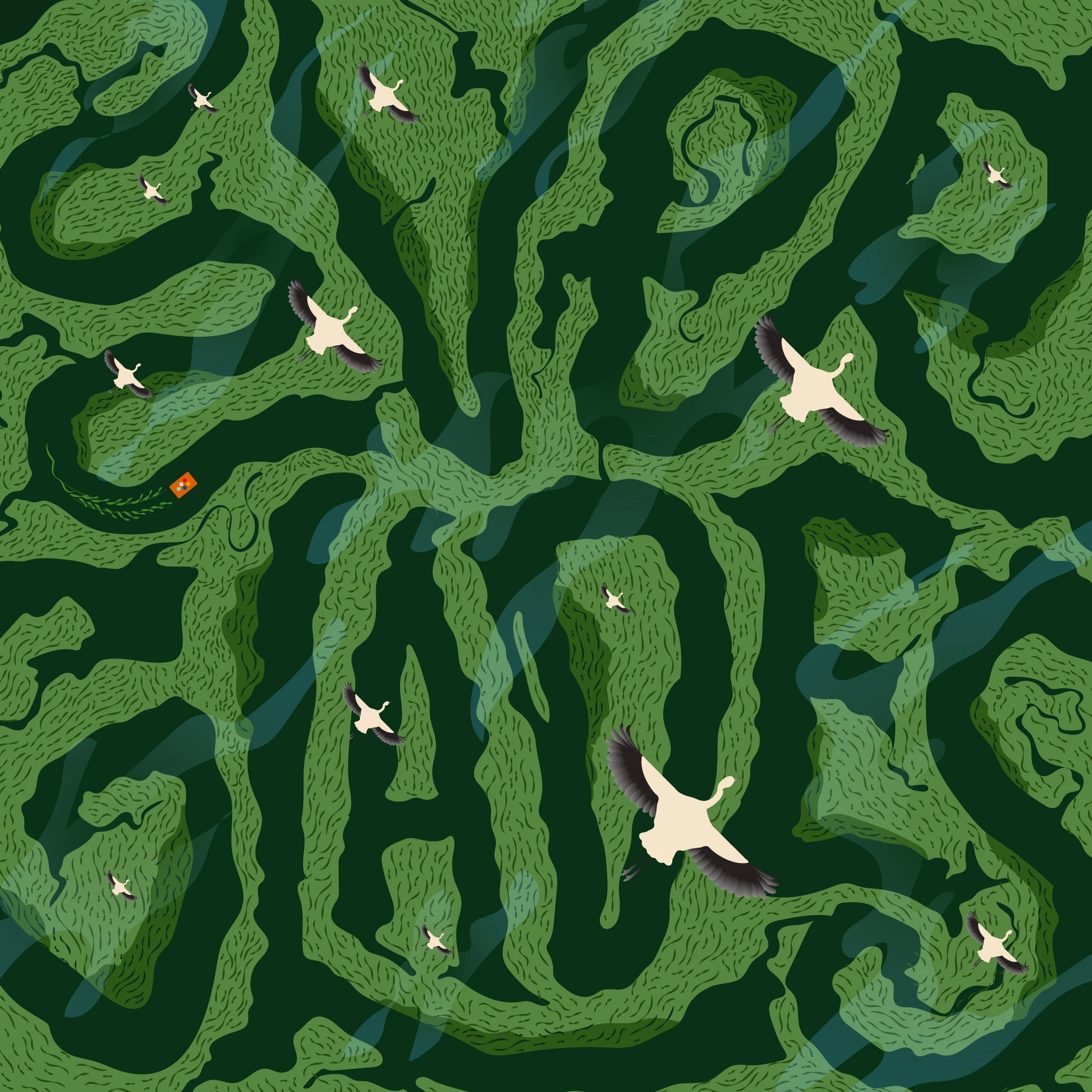 Everglades.jpg