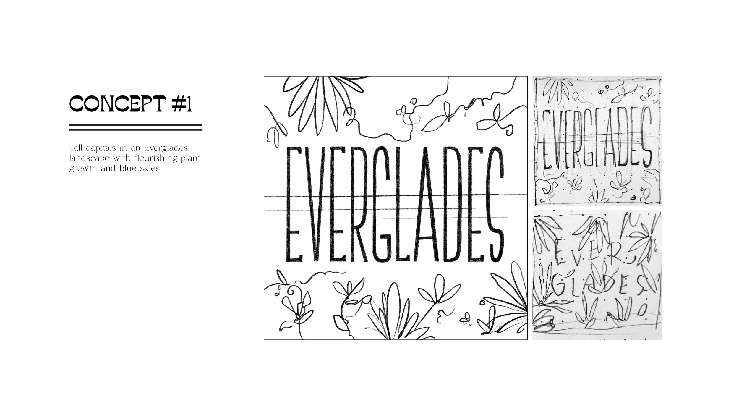 Everglades-03.jpg