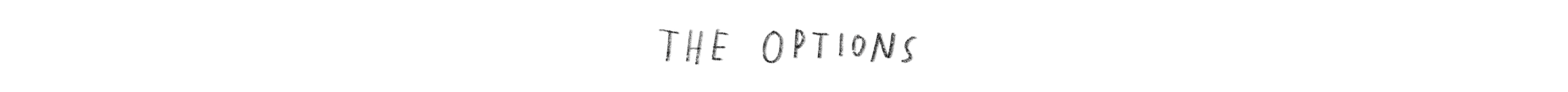 options2.png