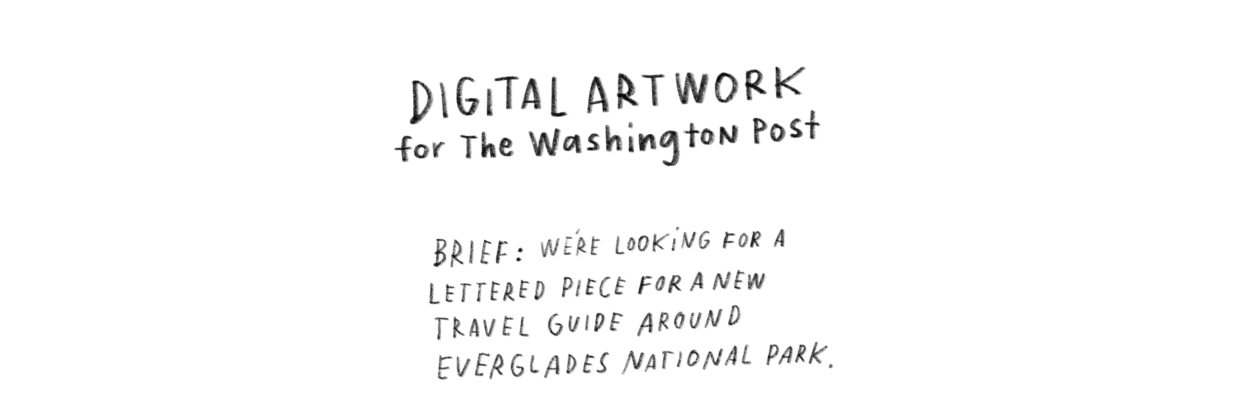 options1.png