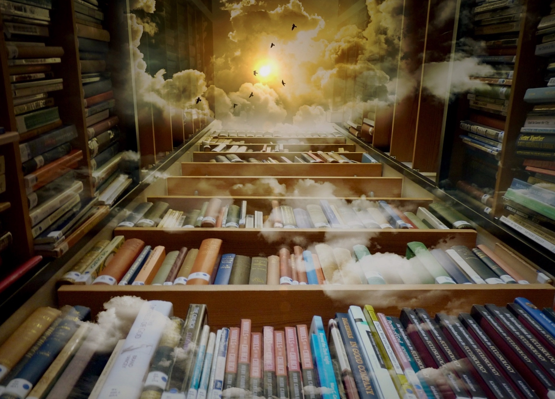 library-425730_1920.jpg
