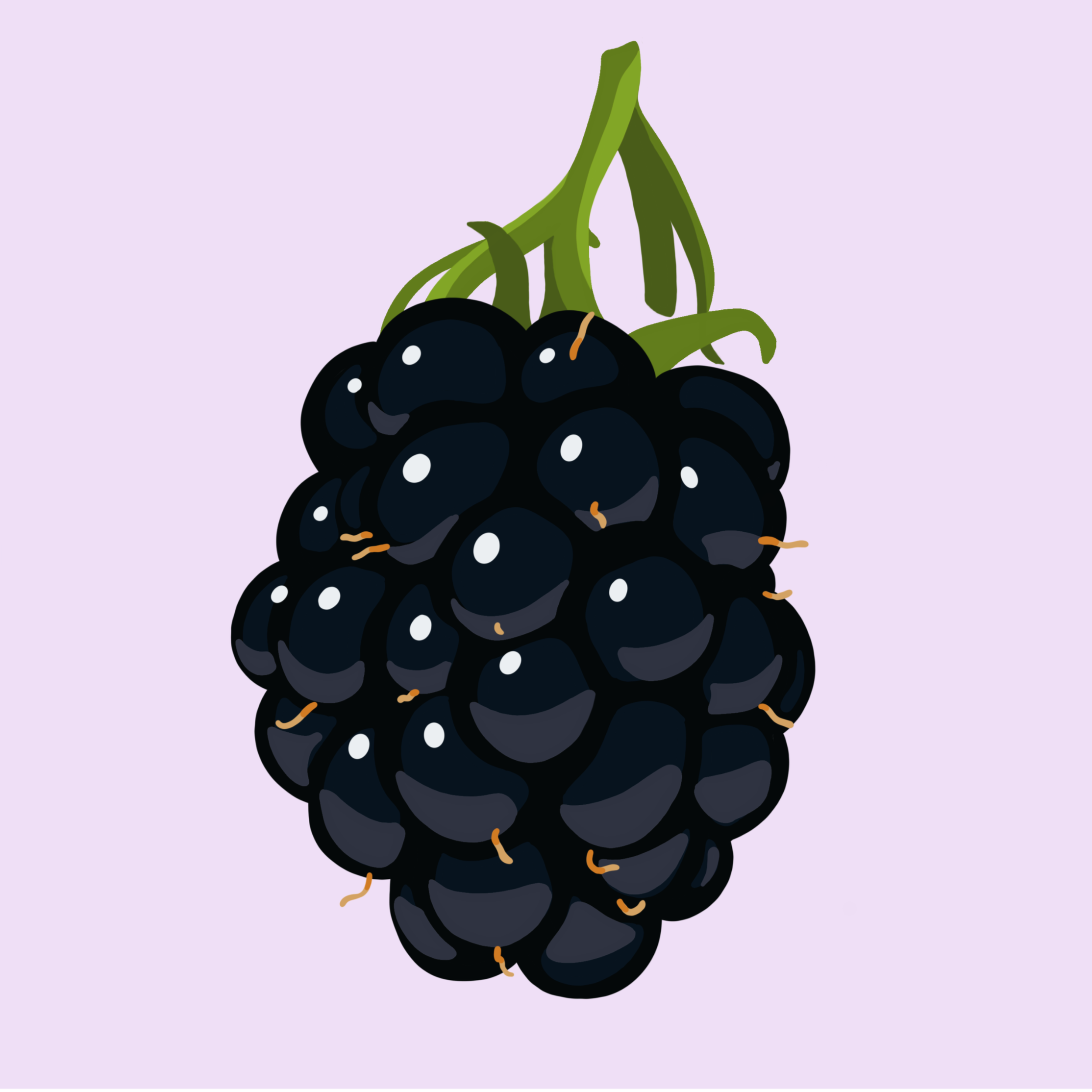 Blackberry.png