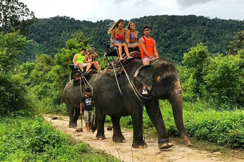 samuisafarielephant.jpg