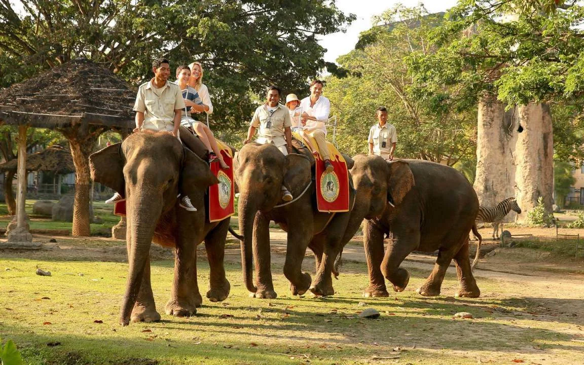 balisafarielephant.jpg