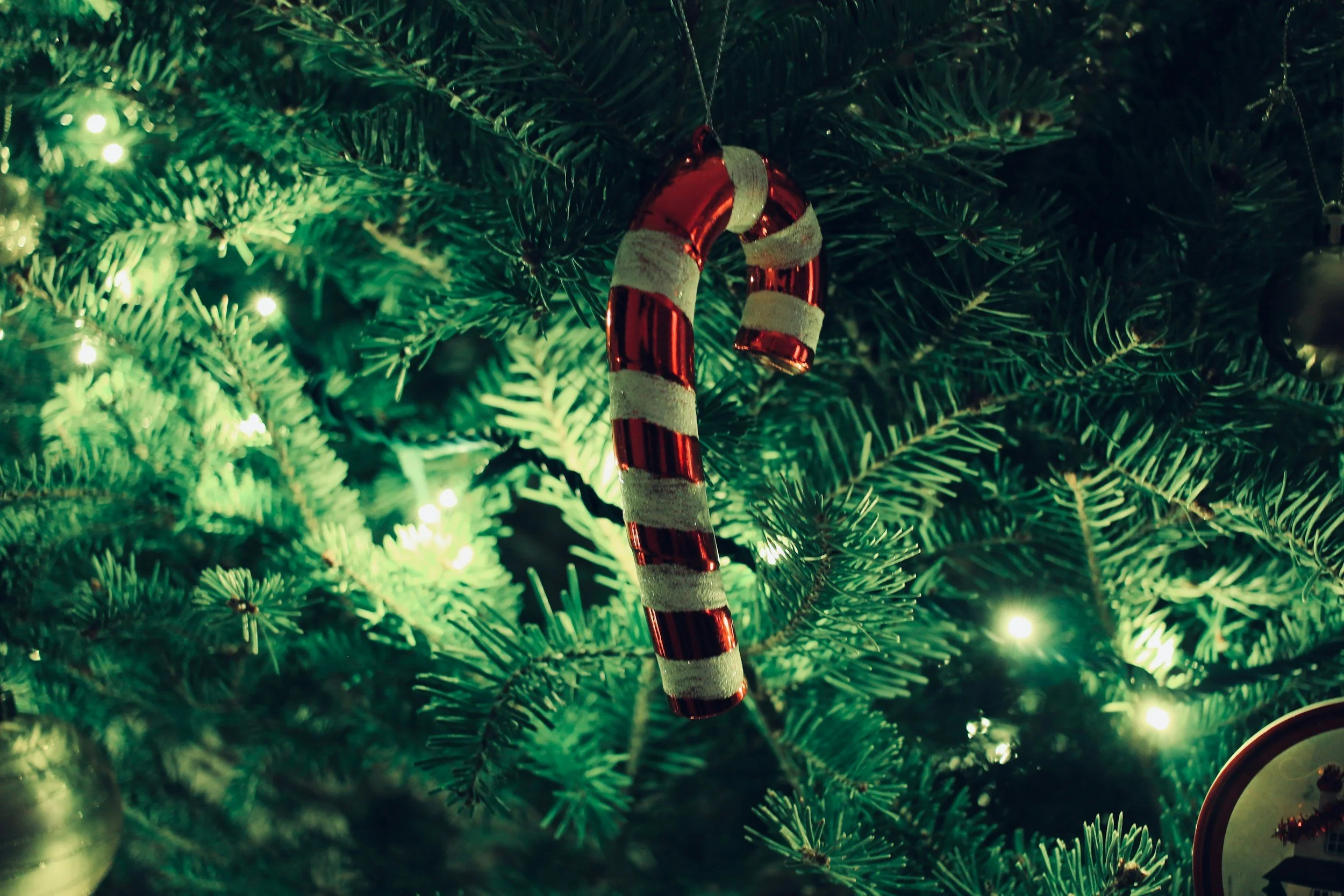 unsplash-image-ZVOc_ssGWnc.jpg