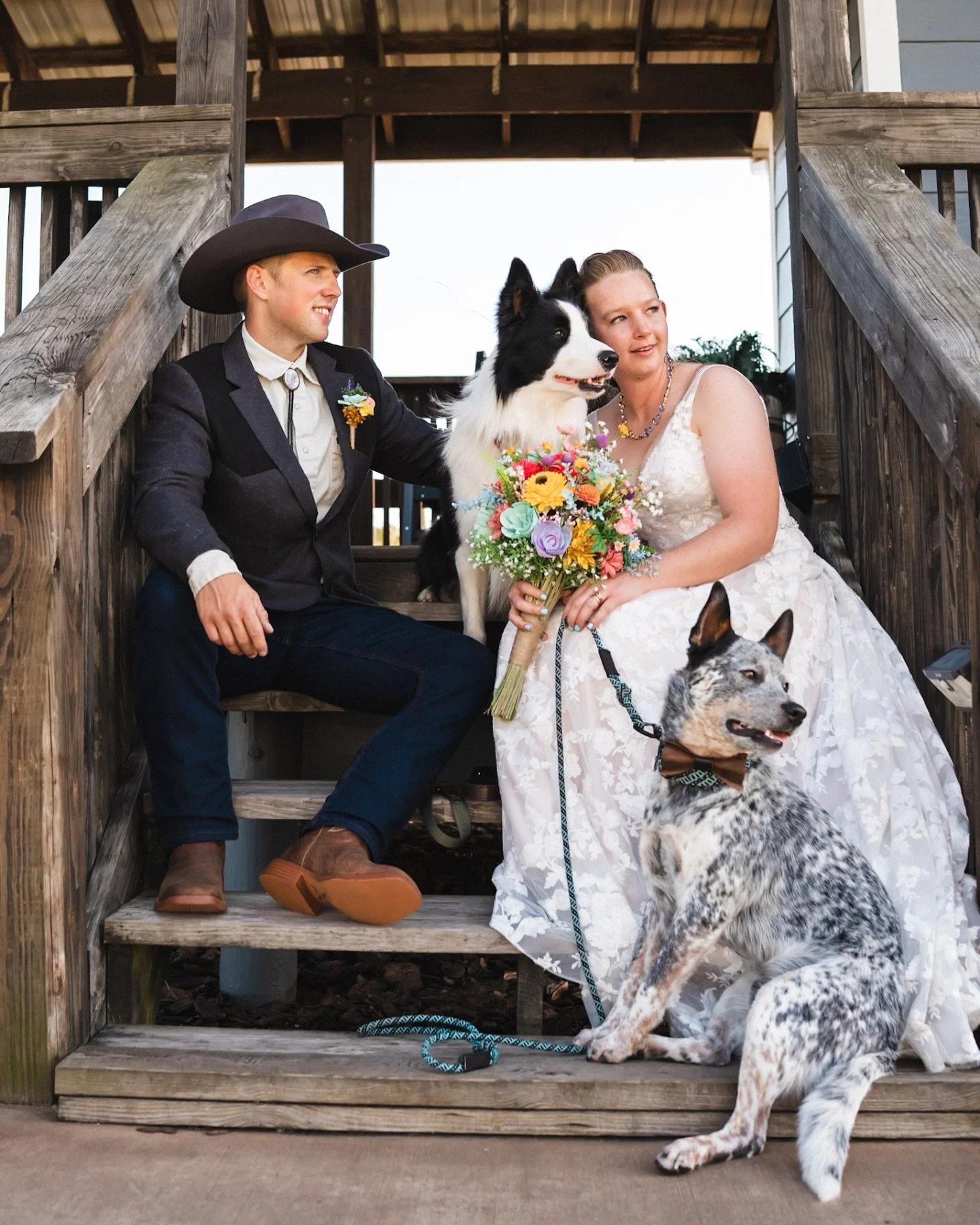 Love this shot! Nicole and Mitchell (and Cricket and Clint, their pups!) have been waiting their whole lives for this day and it finally became a part of their story forever 🥹🎉😍 

special thanks to @alexisjeanevents for all of her coordinating wor