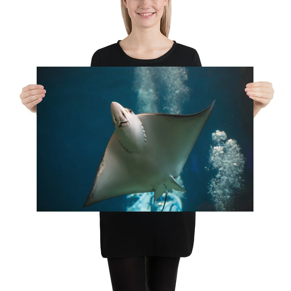 premium-luster-photo-paper-poster-(in)-20x30-person-68922fa46e7e7.jpg