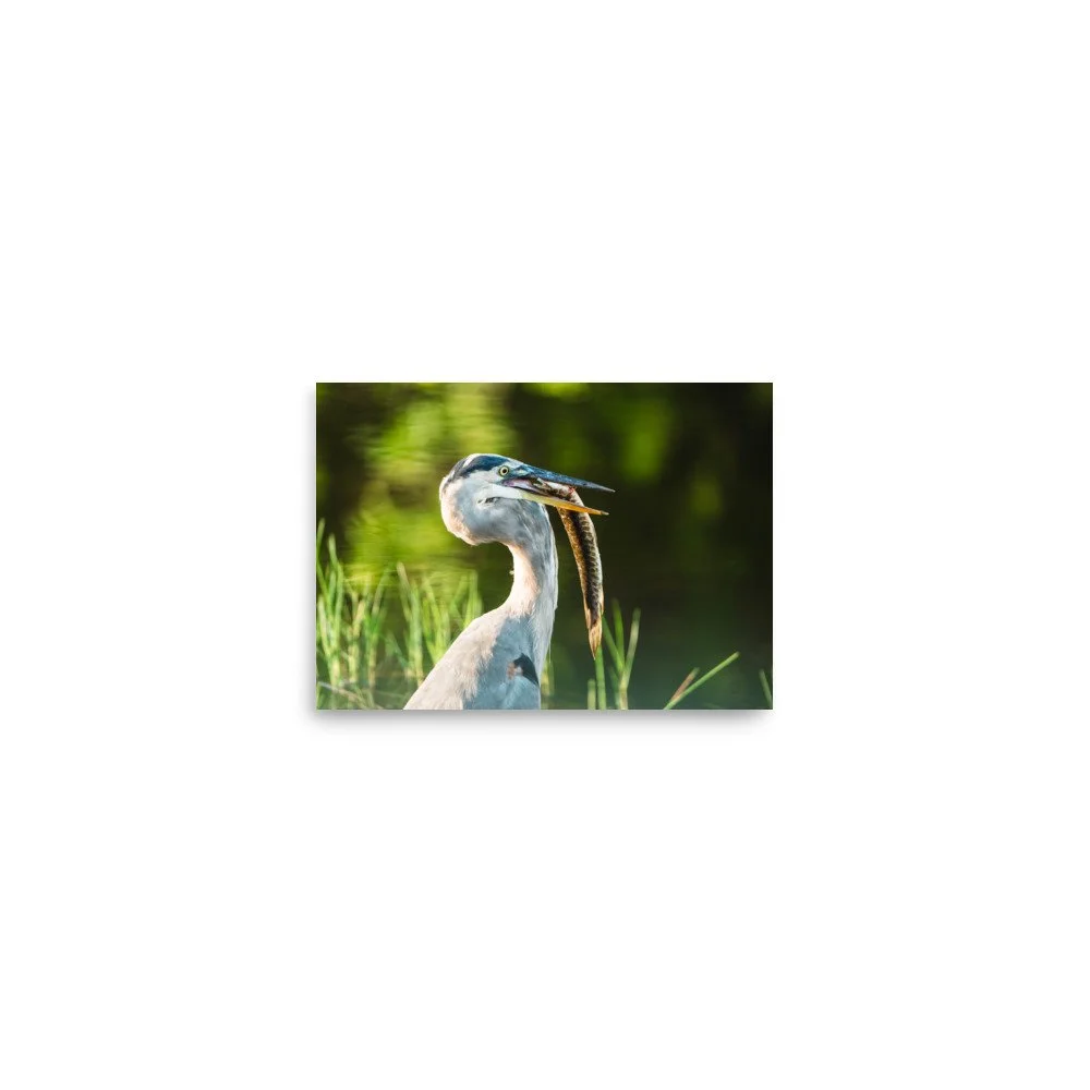 premium-luster-photo-paper-poster-(in)-5x7-front-689231fa75d20.jpg