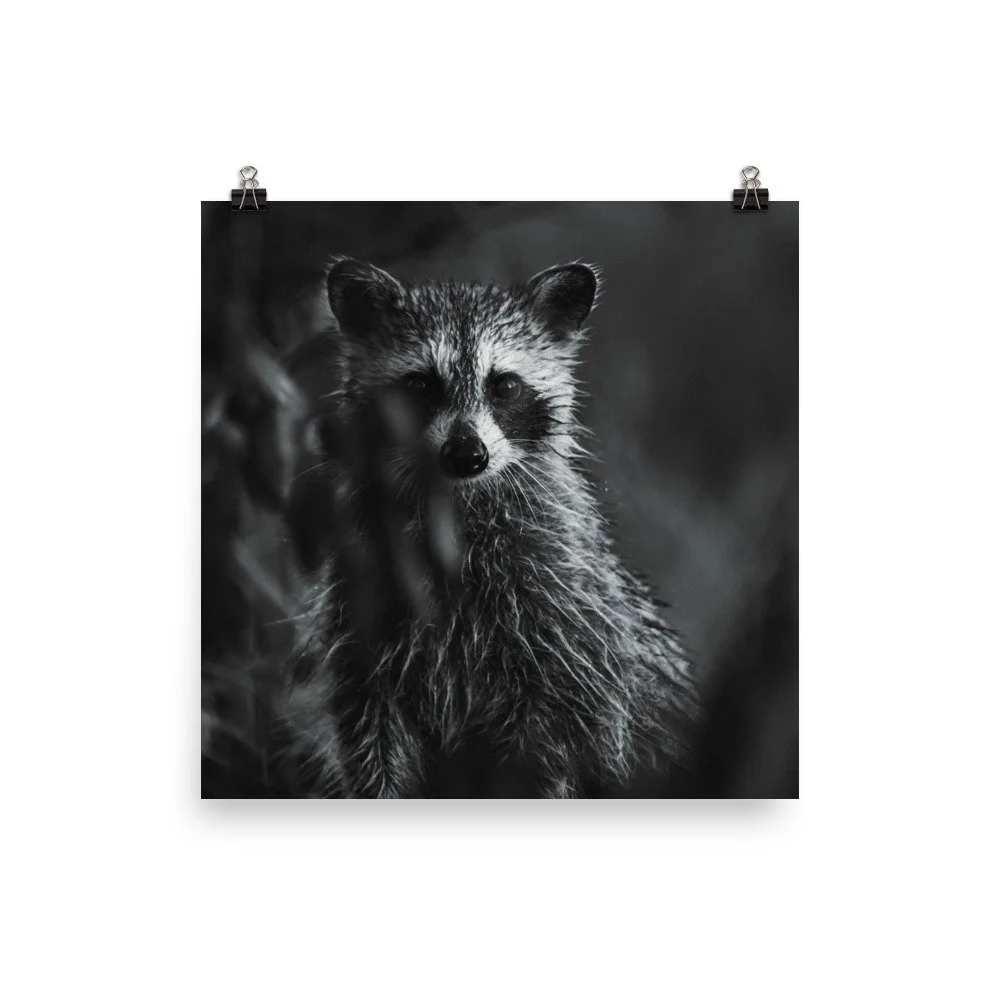 premium-luster-photo-paper-poster-(in)-14x14-transparent-689237b1a88a1.jpg