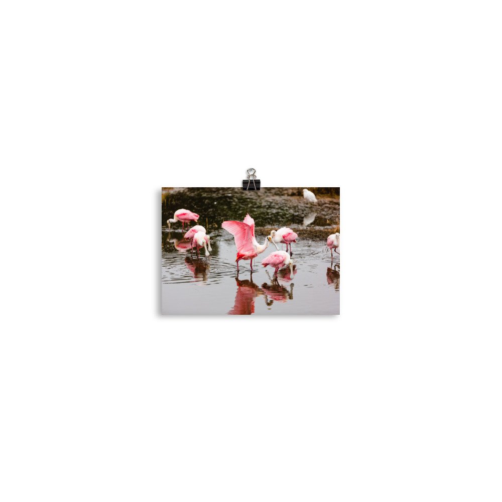 premium-luster-photo-paper-poster-(in)-5x7-transparent-6892442f2b37d.jpg