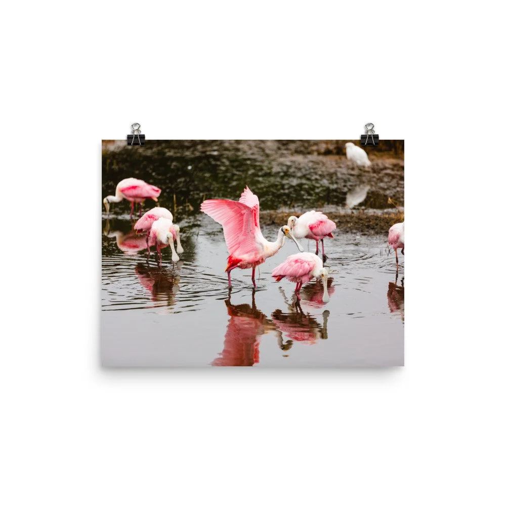 premium-luster-photo-paper-poster-(in)-12x16-transparent-6892442f2b624.jpg