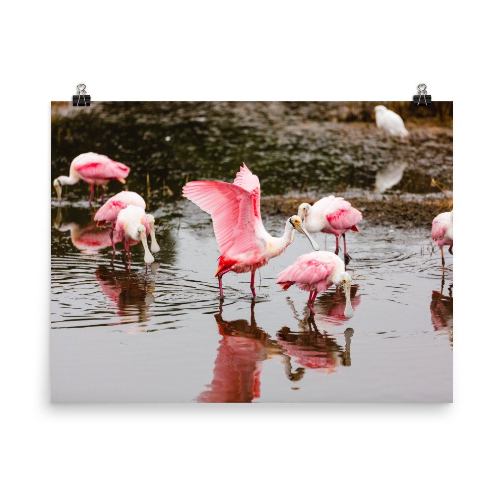 premium-luster-photo-paper-poster-(in)-18x24-transparent-6892442f2ba14.jpg