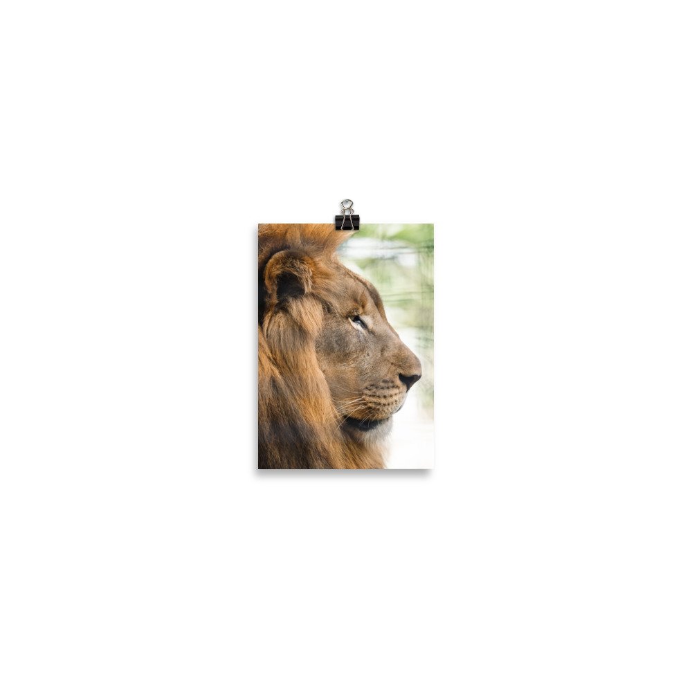 premium-luster-photo-paper-poster-(in)-5x7-transparent-68924ba5c17a8.jpg