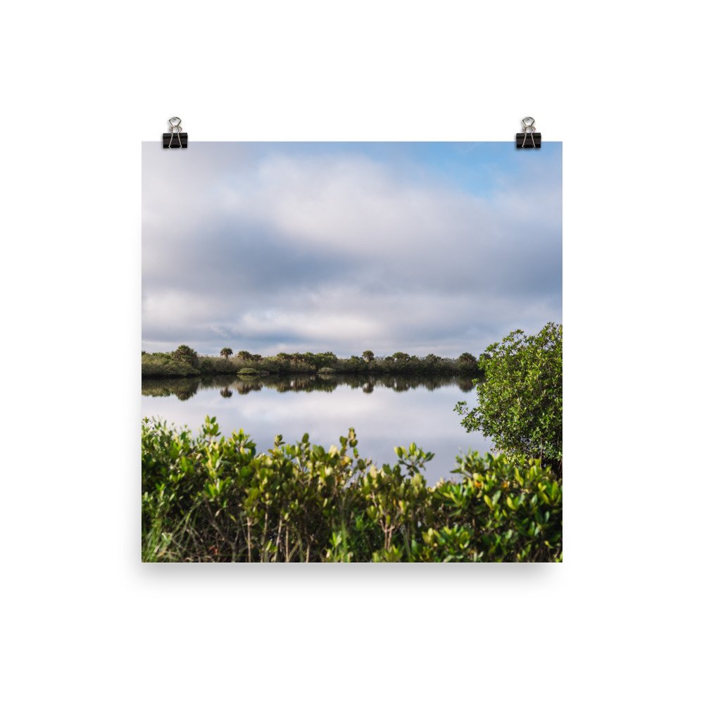 premium-luster-photo-paper-poster-(in)-16x16-transparent-68d2c0c0e86e3.jpg
