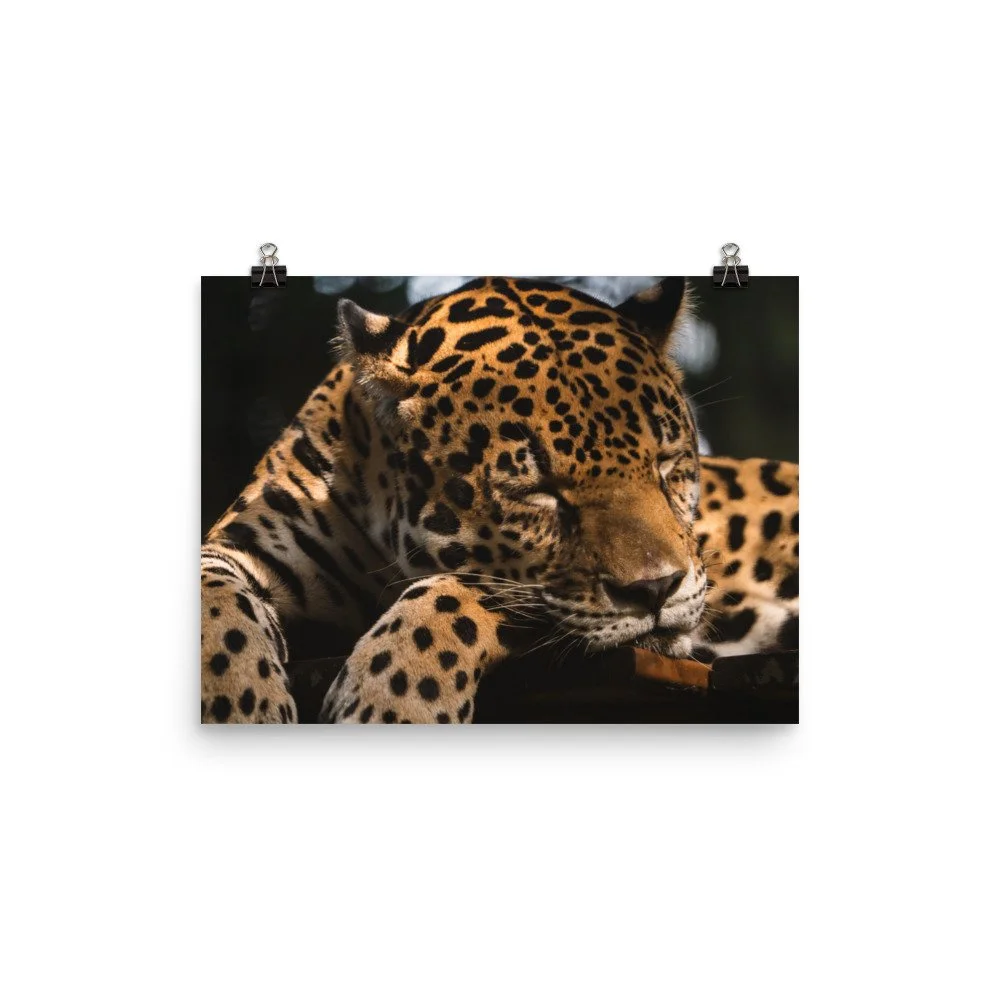 premium-luster-photo-paper-poster-(in)-12x16-transparent-68d2c18f94e1b.jpg