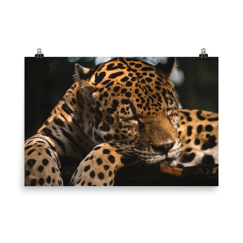 premium-luster-photo-paper-poster-(in)-24x36-transparent-68d2c18f950b7.jpg