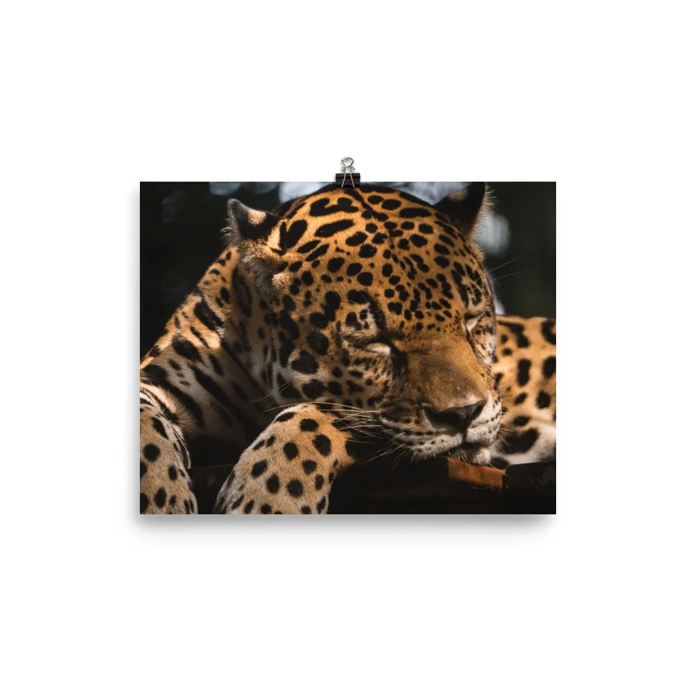 premium-luster-photo-paper-poster-(in)-8x10-transparent-68d2c18f95153.jpg