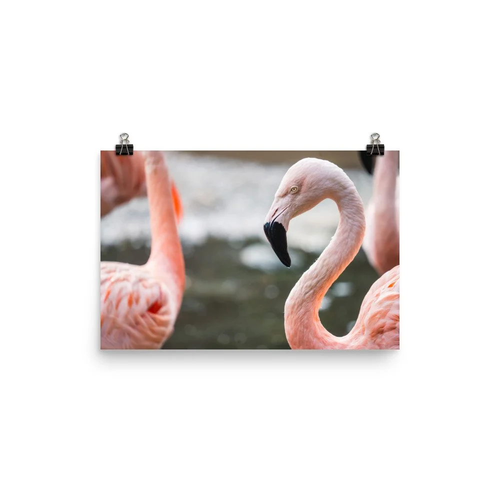 premium-luster-photo-paper-poster-(in)-12x18-transparent-68d2c347839a6.jpg