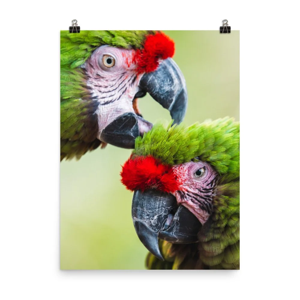 premium-luster-photo-paper-poster-(in)-18x24-transparent-68d2c52a46bca.jpg