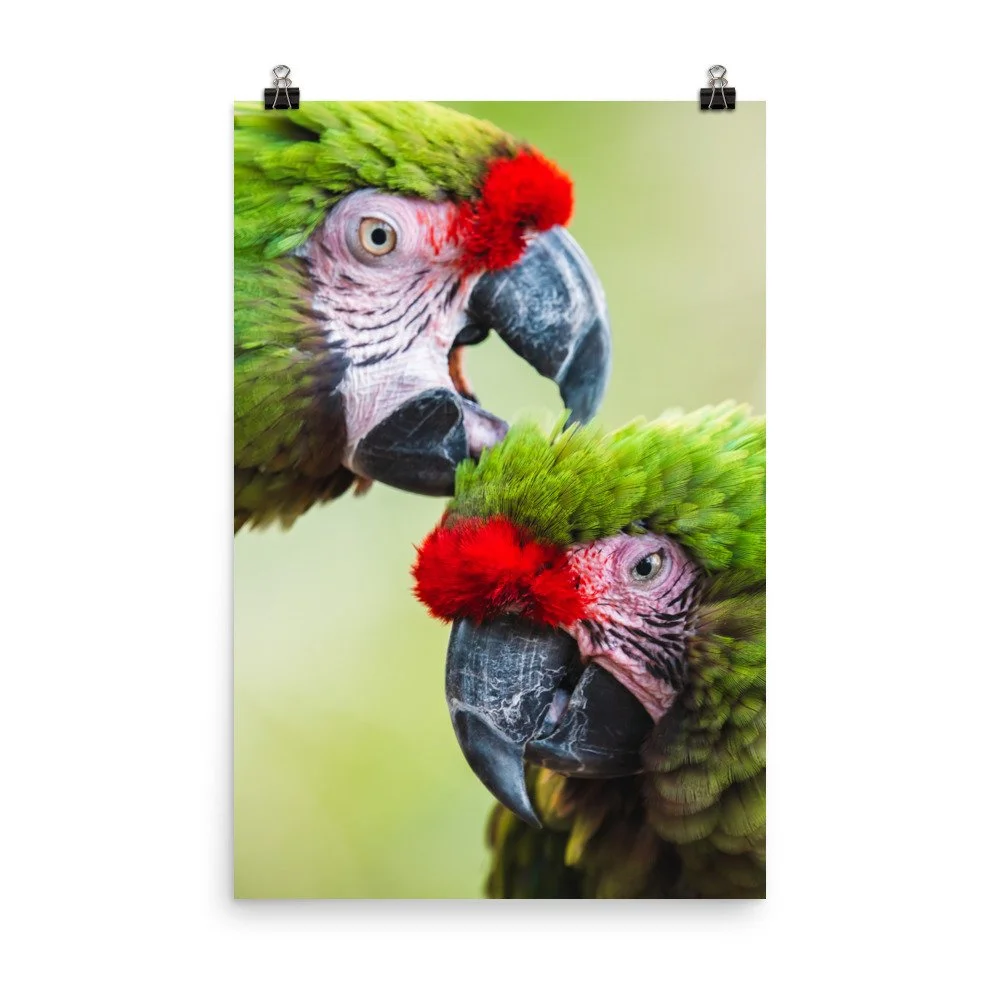 premium-luster-photo-paper-poster-(in)-24x36-transparent-68d2c52a46c7c.jpg