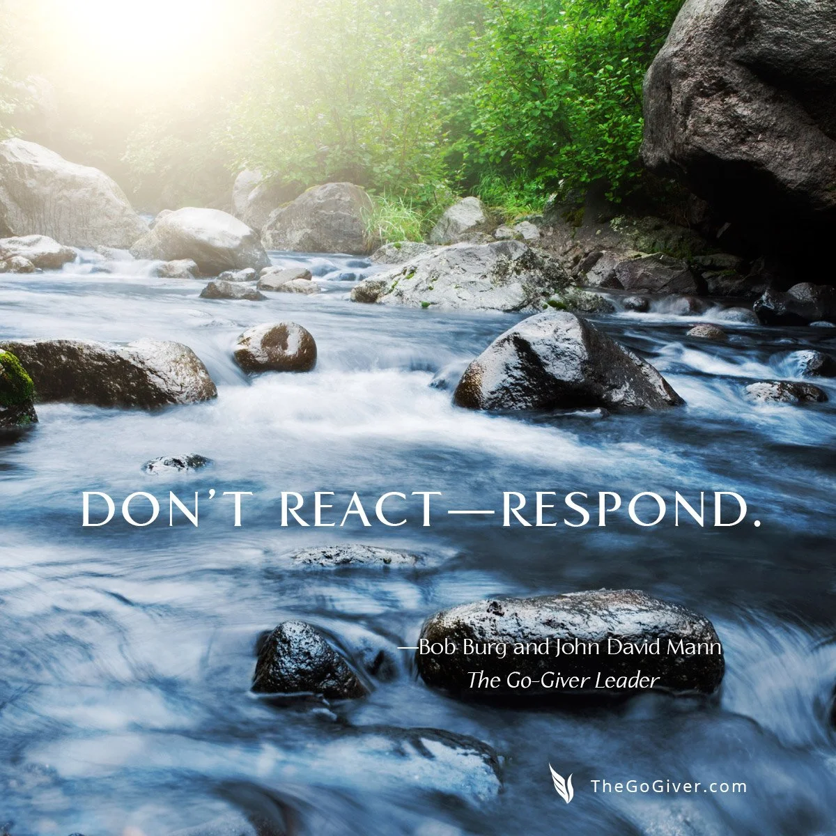 Resource Parent Support Group: Respond, Don't React